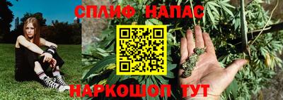 дживик Дубна