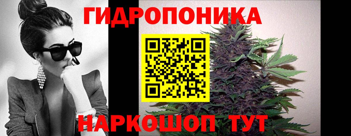 Каннабис Bruce Banner  Конопля LSD WEED  Вход с VPN  Малоярославец  Шишки марихуана тримм 